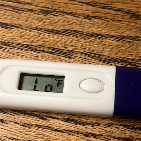 Reli On Electric Thermometer - Picture 2 of 3